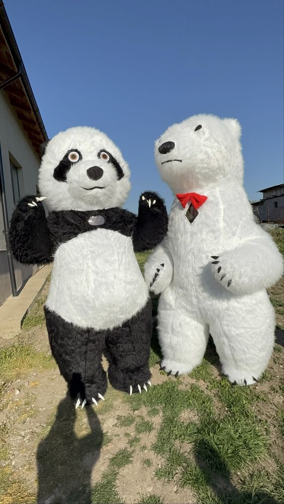 Ursul Polar&Ursul Panda evenimente