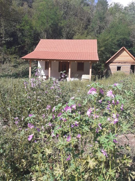 Proprietate de vânzare în Roșia Nouă, jud Arad – 5800 m² teren + casă