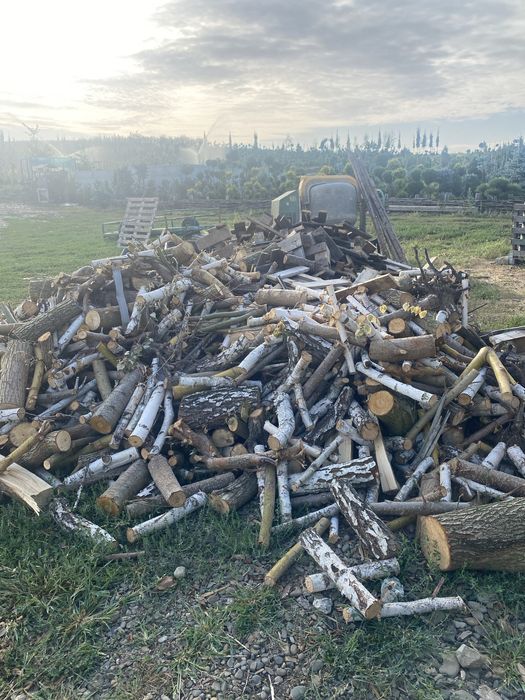 Lemn de foc din surplus