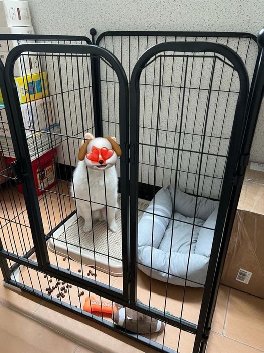 Барьер клетка металическая