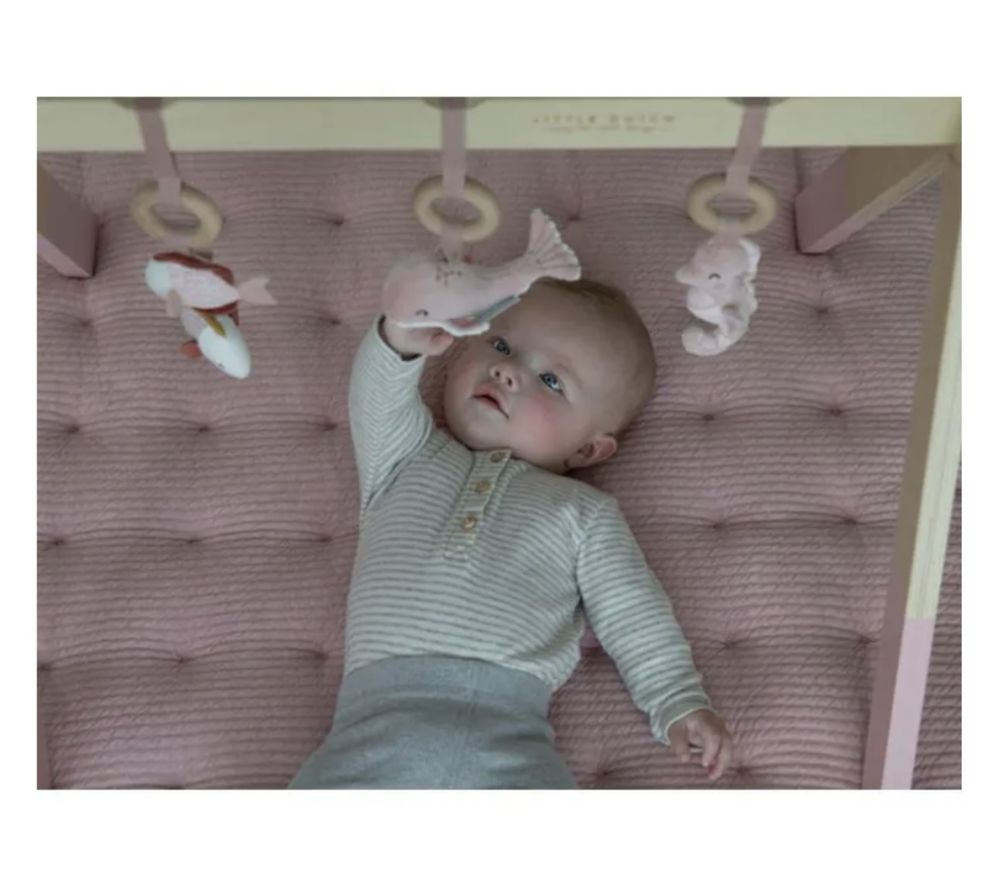 Активна гимнастика Little Dutch