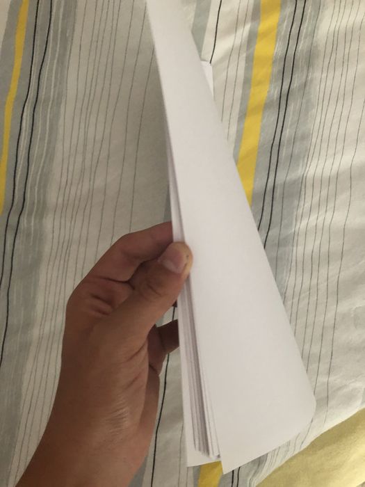 imprimanta canon MG2550S