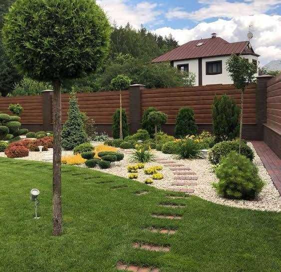 Озеленение в Ташкенте- Озеленение территорий