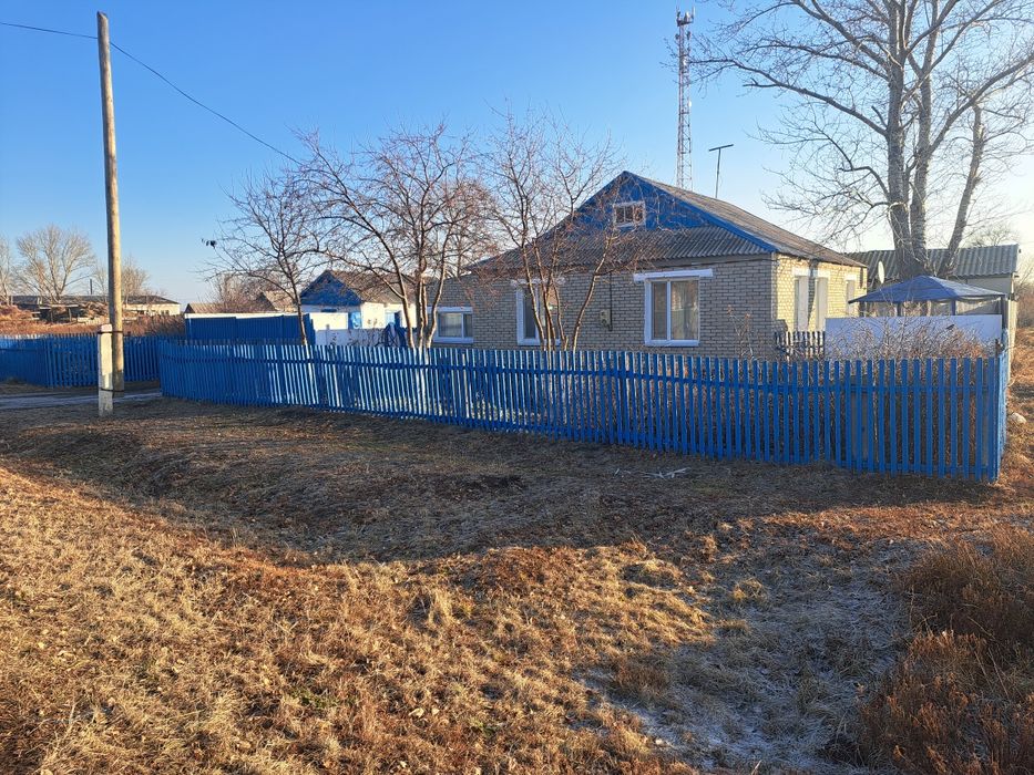 Дом, с. Карасу, Костанайская обл.