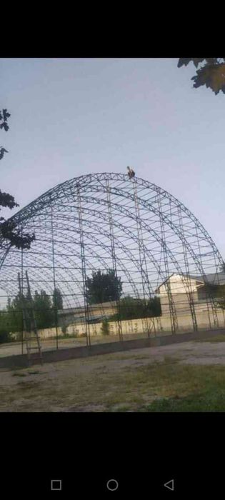 ferma tom naveslar quramiz