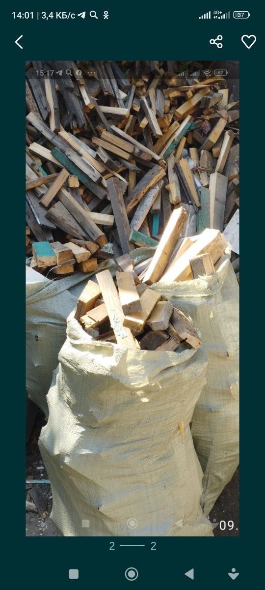 Продам дрова в мешках , цена за мешок 1000 тенге