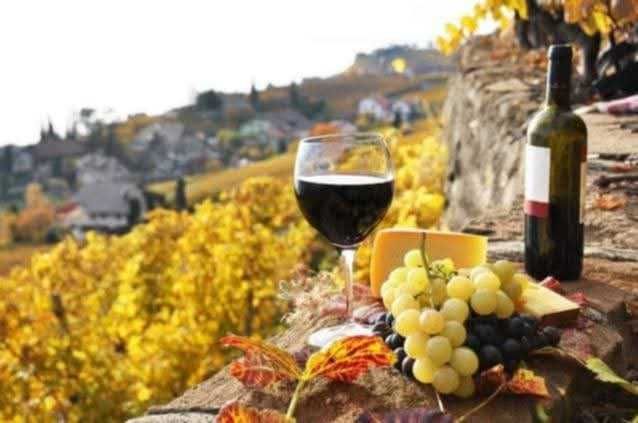 Struguri de vin de vanzare