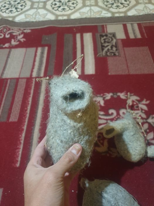 Құрқылтай  ұясы сатылады