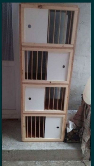 Picior boxa porumbei