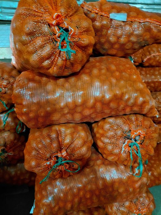 Продам  картофель семенной 120тг