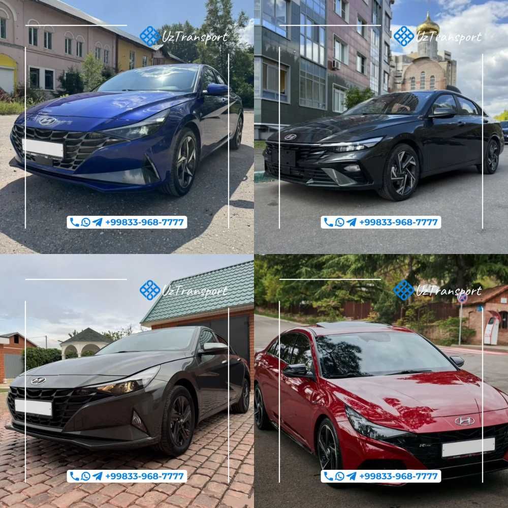 Персональные экскурсии с гидом и машиной Сопровождение авто с водителе