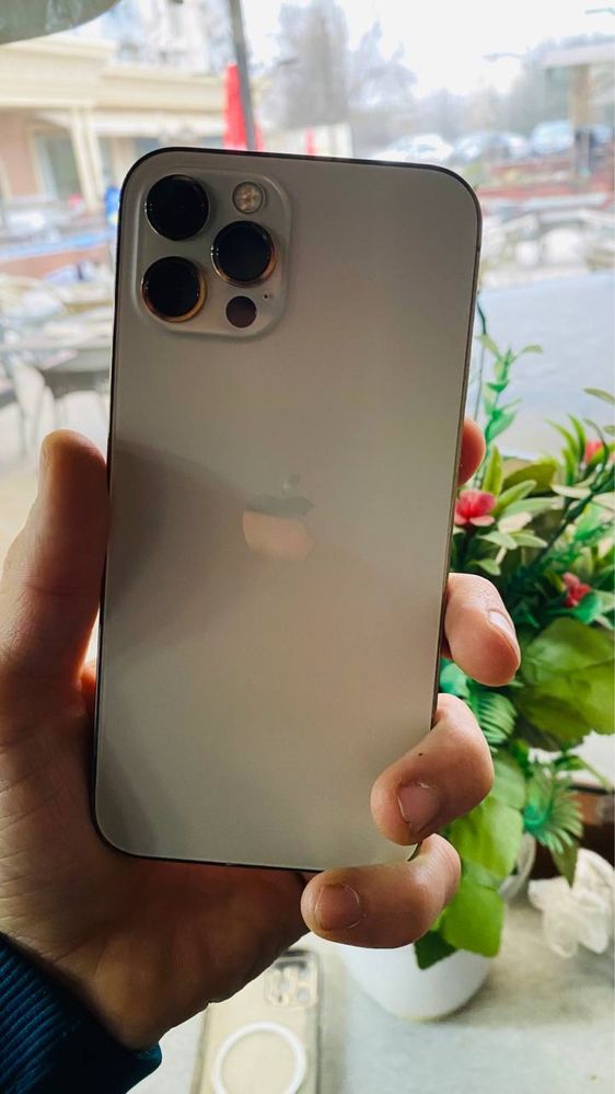 iPhone 12  pro  256  talik