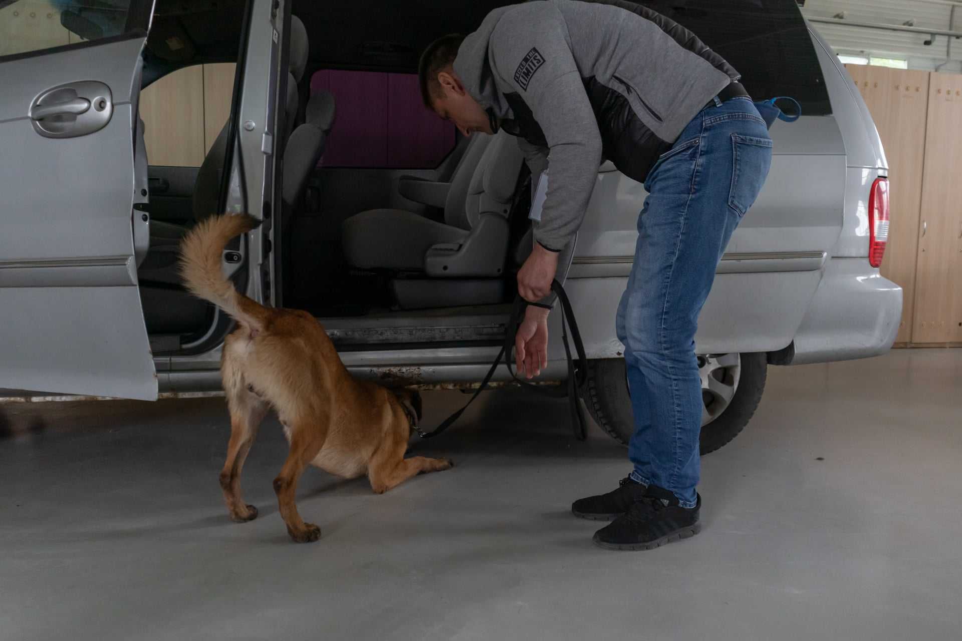 Dresaj canin ( instructor atestat FCI experiență 10 )