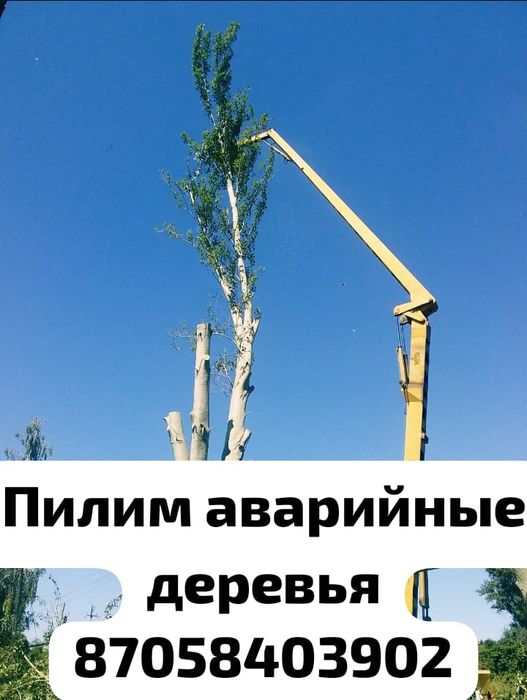 Пилим аварийные деревья!