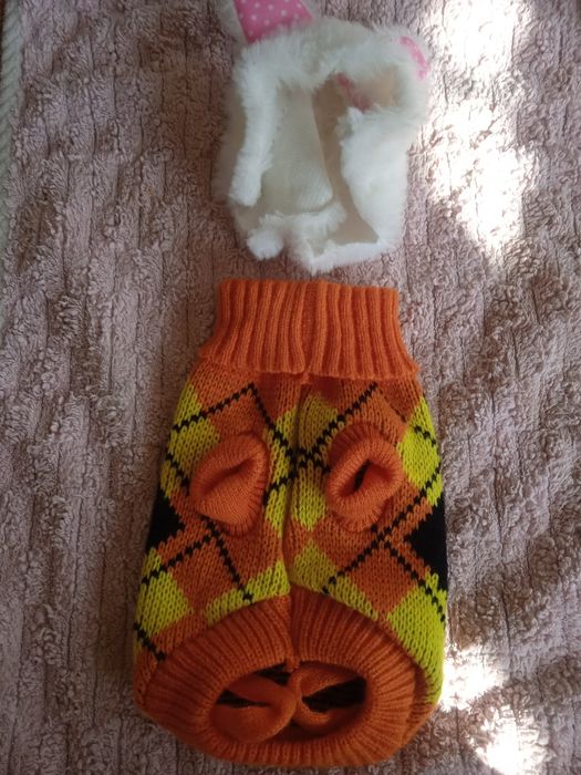 Костюмчик для питомца.