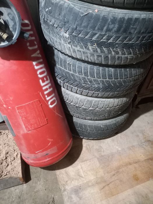 Болон 4продам. Срочно