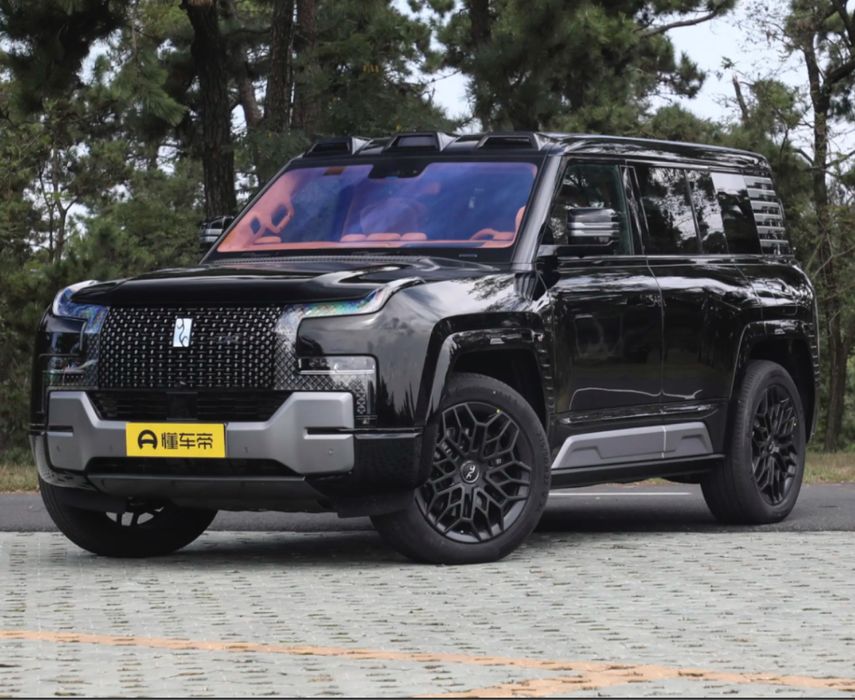 Yang wang u8 full poz