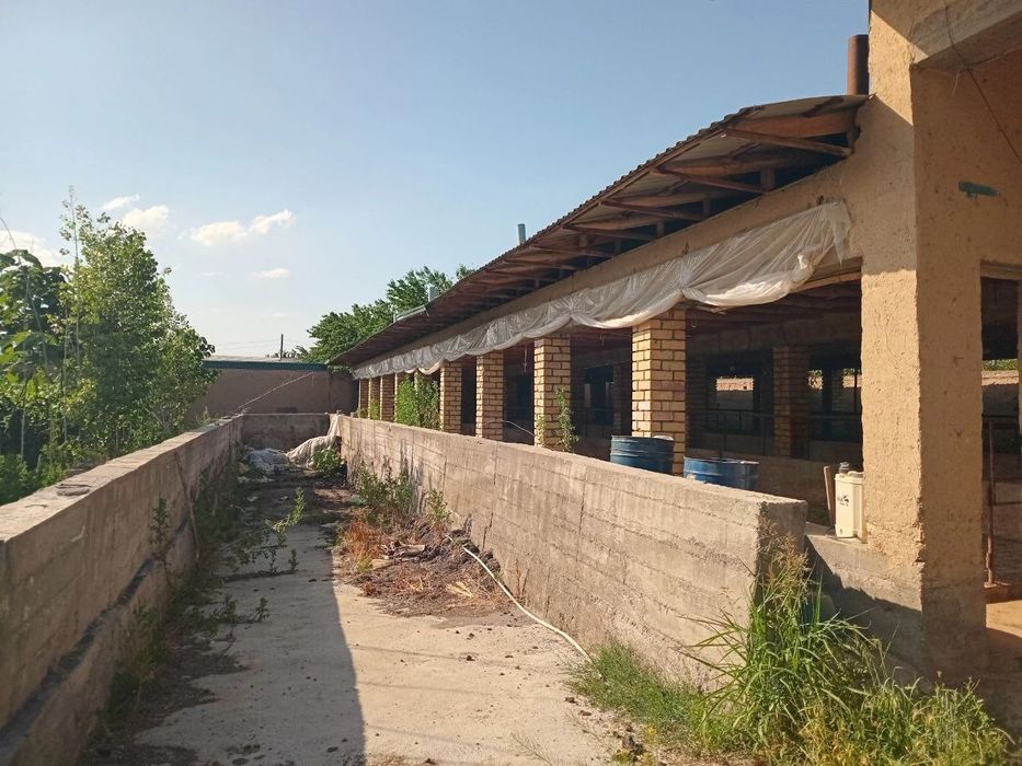 Участок 26 соток