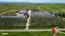 Teren 100.000 mp + Spatii Industriale Bacau