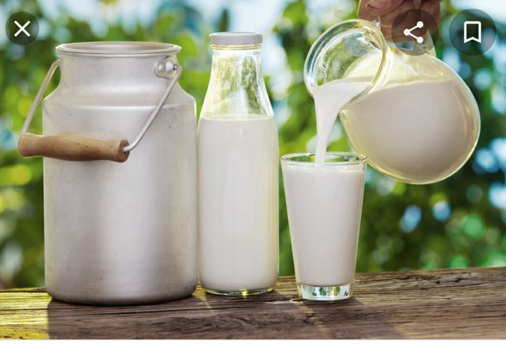 Малоко чистое вкусное всегда свежие.минемальноя продажа 5 литров 230 т