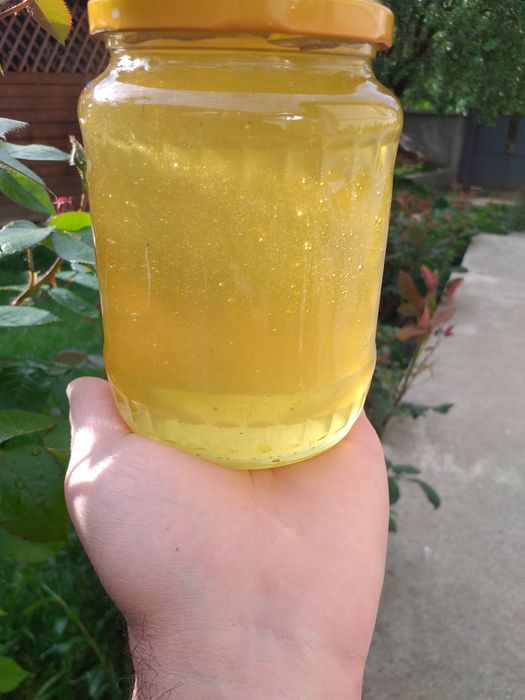 Miere de salcam 40, poliflora 30 si rapita 30 productie propie