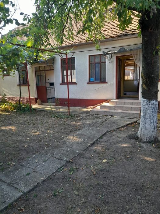 Casa in Tarnova, jud. Arad - 741mp - Gradina