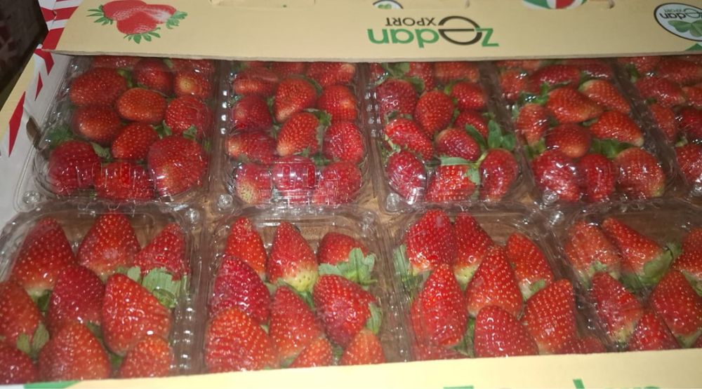 Клубника свежая Египет