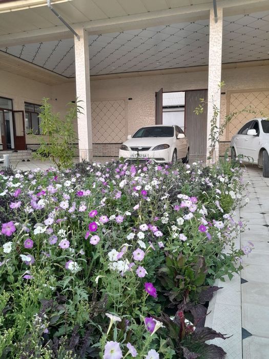 Daewoo Lacetti 3 Pazetsiya EVRO