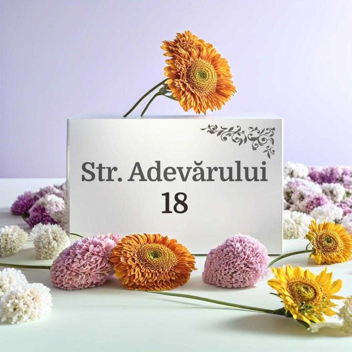 Placute de Strada Gravate si Inscriptionate Personalizat