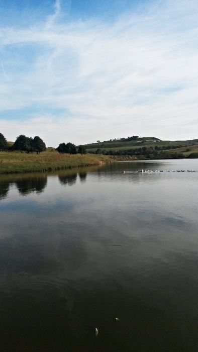 Ferma cu iazuri in Suceava 16 hectare