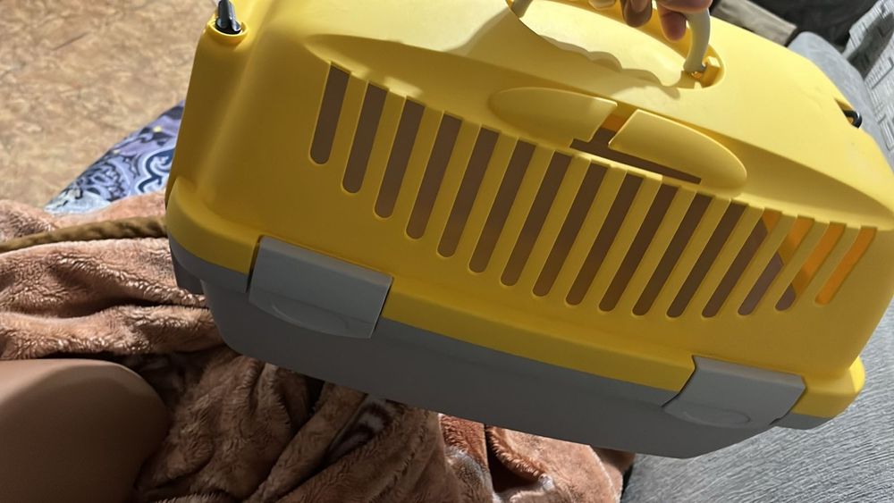 переноска для кошек