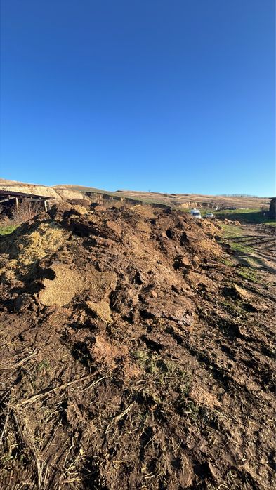 Gunoi grajd mranița