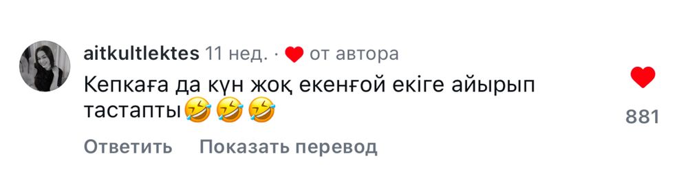 Мысык-котята в добрые руки