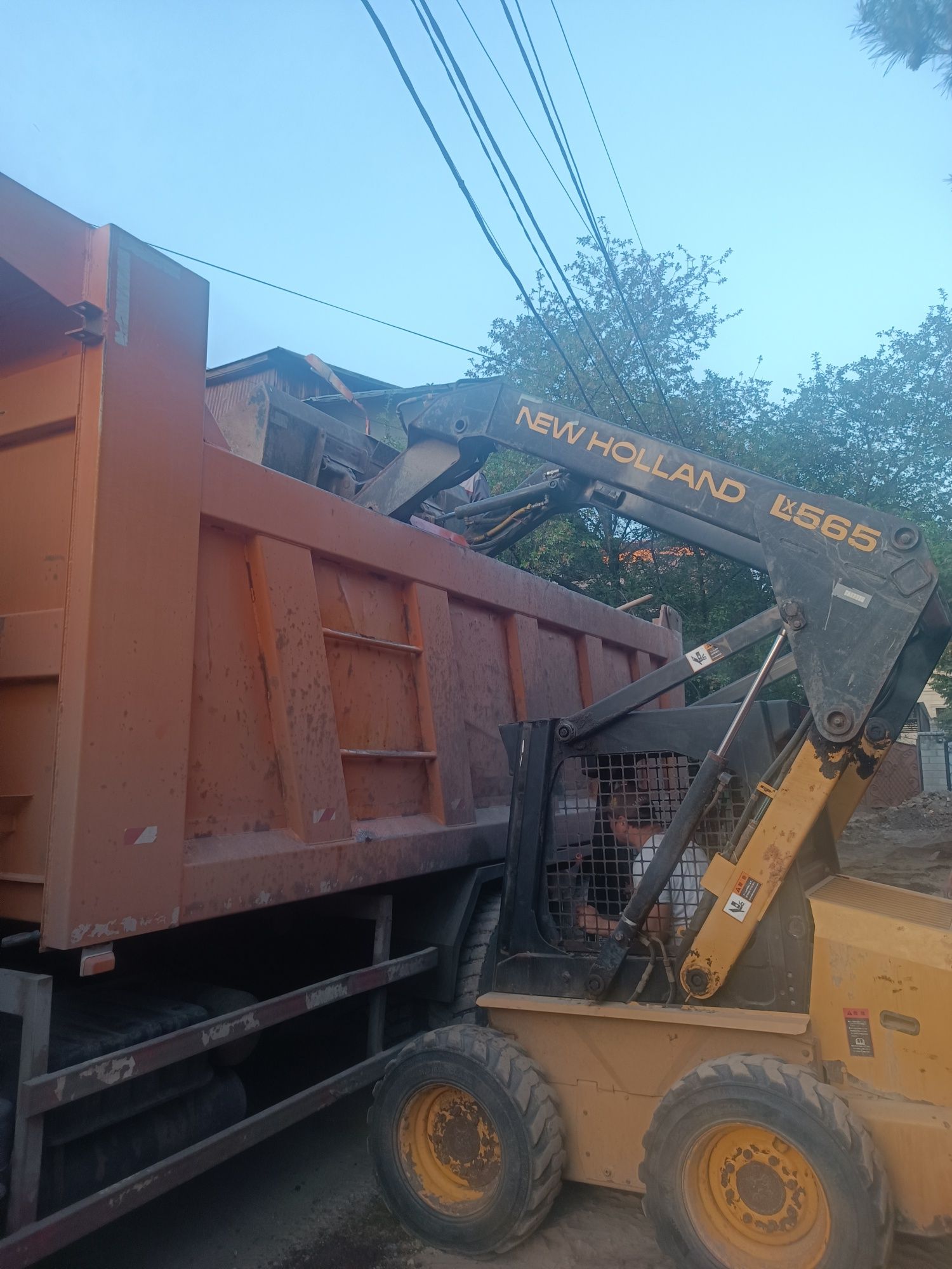 Бобкат аренда bobcat
