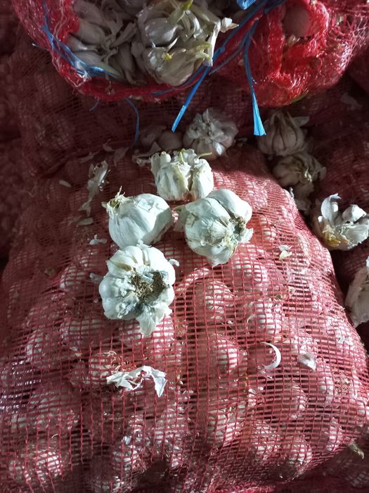 Vand ust de pus în pământ ieftin !!