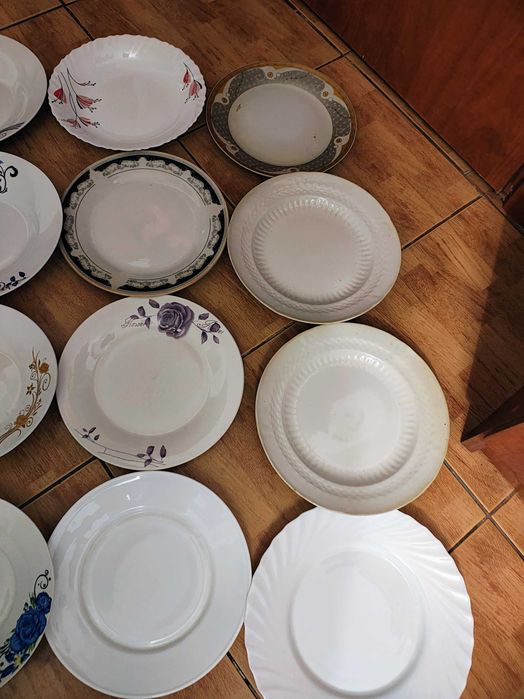 Farfurii cani castron vase farfurie