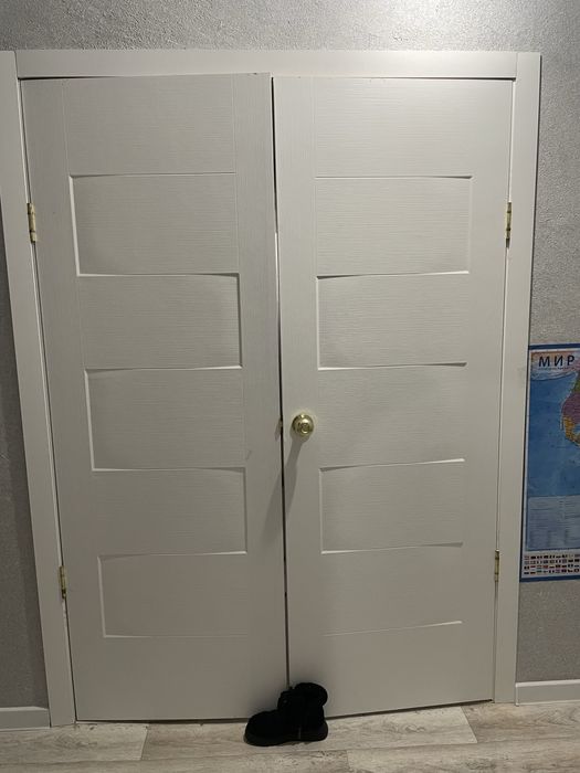 двери двойные с коробкой