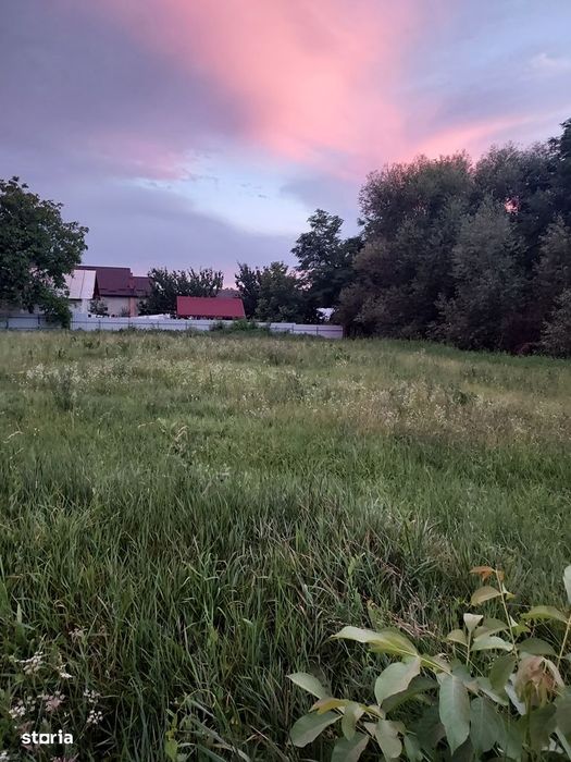 Plopeni - teren intravilan, 17 ari