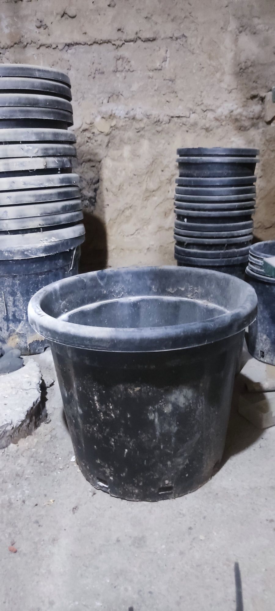 Gul tuvak sotaman