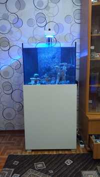 Продам аквариум море пенник помпа подъёма светодиодная лампа