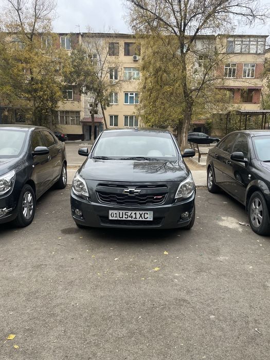 Cobalt 2020 4 pazitsa