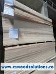 Placaj Eucalipt Furniruit Mesteacan 4mm(2440x1220)
