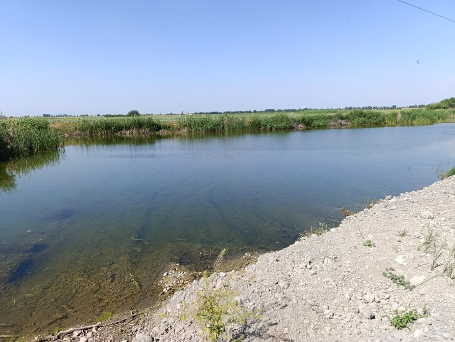 Дарё буйида 4 гектар жой сотилади.