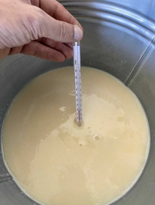 Colostru de vaca crud