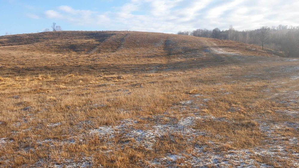 De vanzare teren extravilan in comuna Ciucea ,jud.Cluj