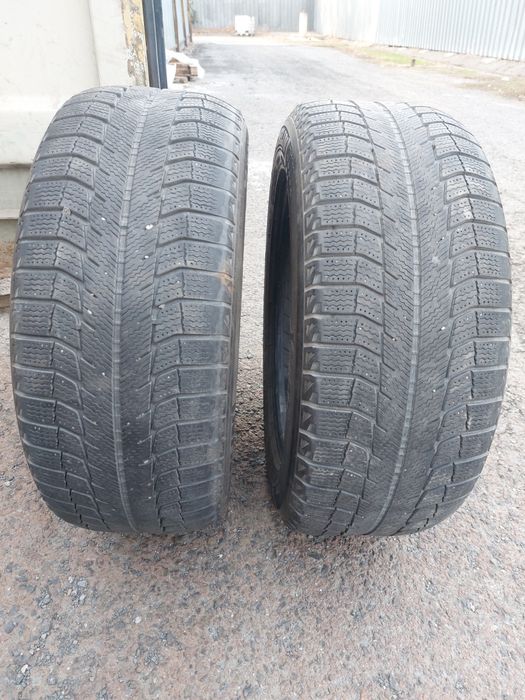 Два зимних балона 225/55R16.