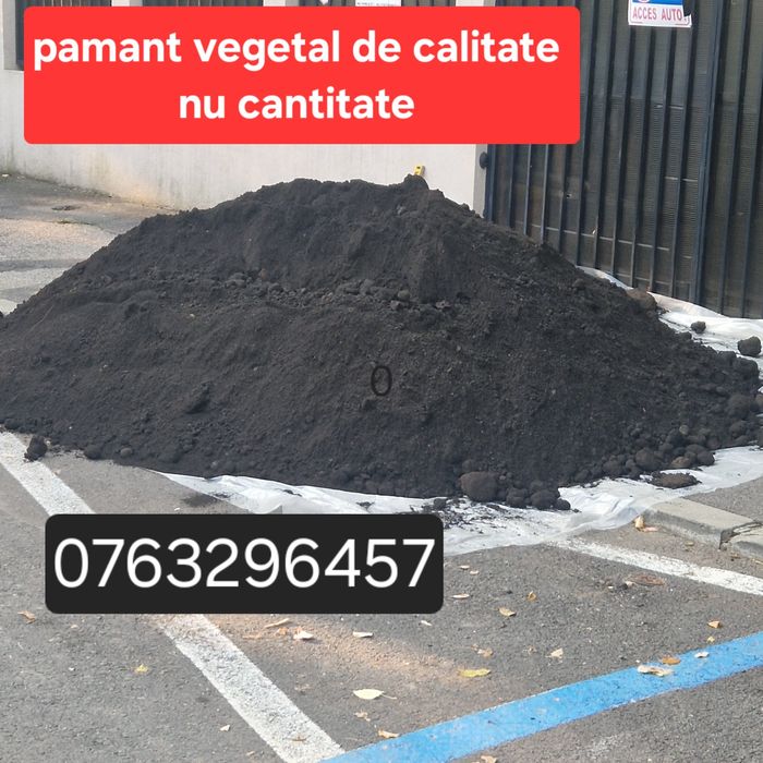 Pământ vegetal. Pământ negru De flori