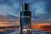 dior sauvage саваж диор духи парфюм