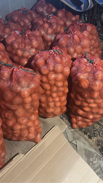 продаю домашнюю картошку доставка бесплатно