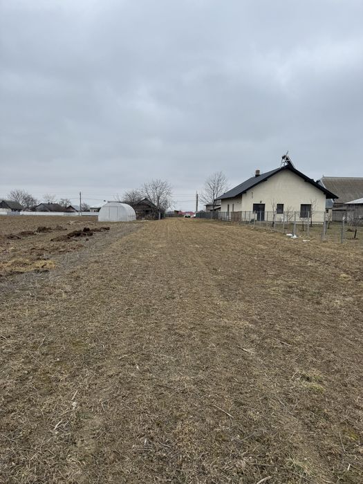 Teren 36 ari intravilan